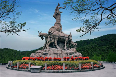 深圳会所95场：尽享尊贵，感受独特魅力的定义和特点